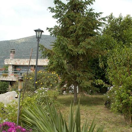 B&B La Vecchia Scuola Sonnino 외부 사진