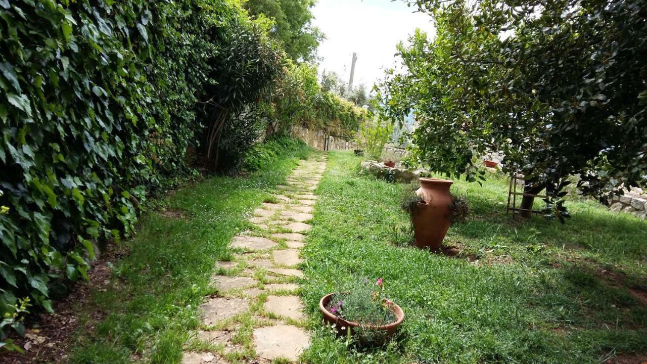 B&B La Vecchia Scuola Sonnino 외부 사진